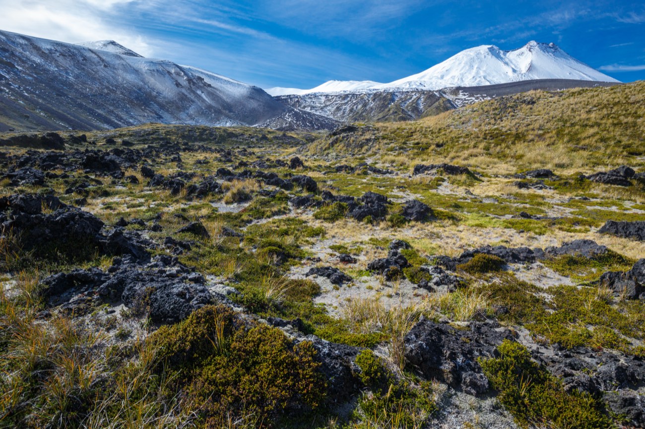 Paisaje volcánico del Parque Nacional Puyehue: campos de lava, pastizales y un volcán nevado bajo cielo despejado